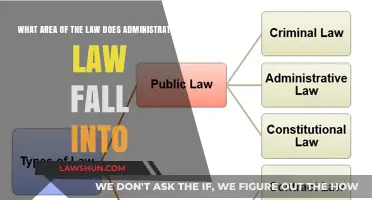 Understanding Administrative Law: Its Legal Classification and Key Areas