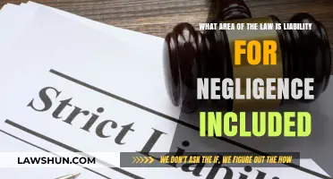 Understanding Negligence Liability: Key Legal Areas and Responsibilities Explained
