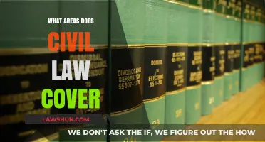 Understanding Civil Law: Key Areas and Their Impact on Daily Life
