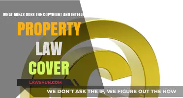 Understanding Copyright and Intellectual Property Law: Key Areas Covered