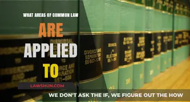Common Law: Areas and Applications Explored