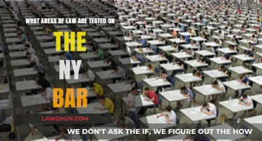NY Bar Exam: Key Legal Areas Tested and Preparation Tips