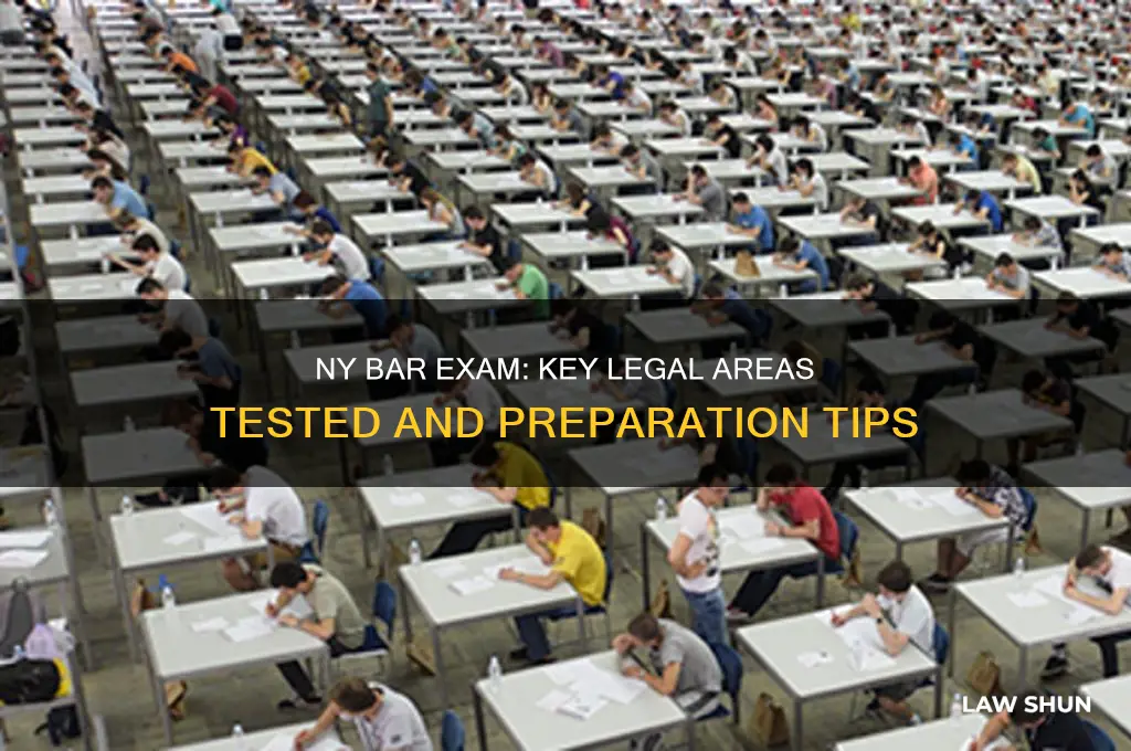 what areas of law are tested on the ny bar