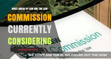 Law Commission's Current Focus: Key Legal Areas Under Review