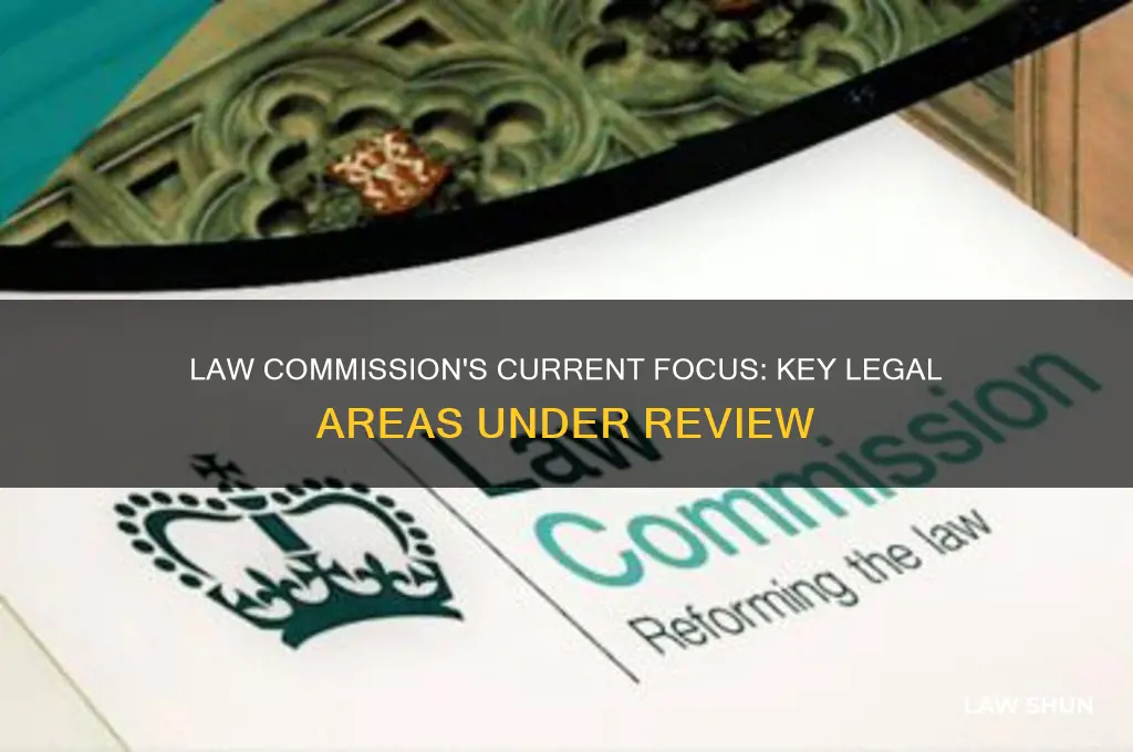 what areas of law are the law commission currently considering