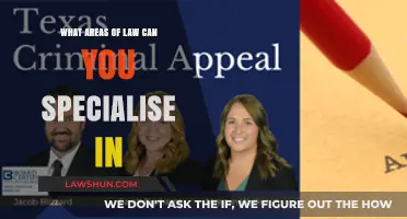 Exploring Law: Diverse Specializations, Diverse Career Paths