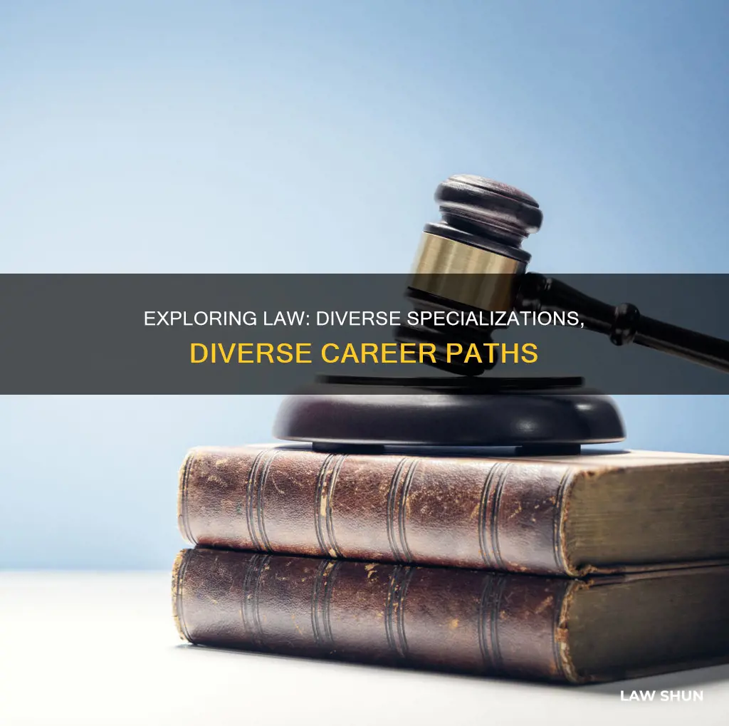 what areas of law can you specialise in