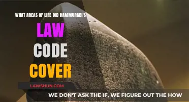 Hammurabi's Code: Exploring Its Reach Across Ancient Mesopotamian Life
