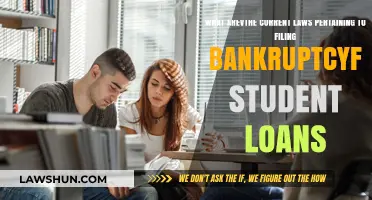 Navigating Bankruptcy Laws for Student Loans: Current Rules and Regulations