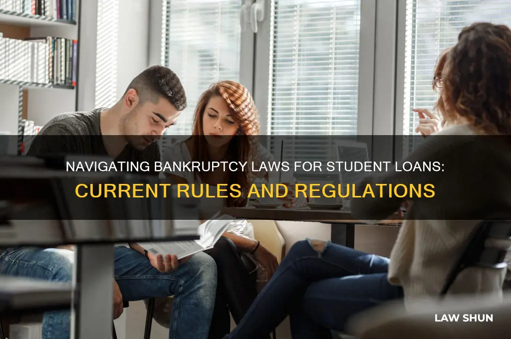 what arevthe current laws pertaining to filing bankruptcyfor student loans
