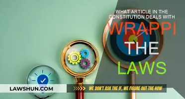 Constitution's Article: Wrapping Laws and You