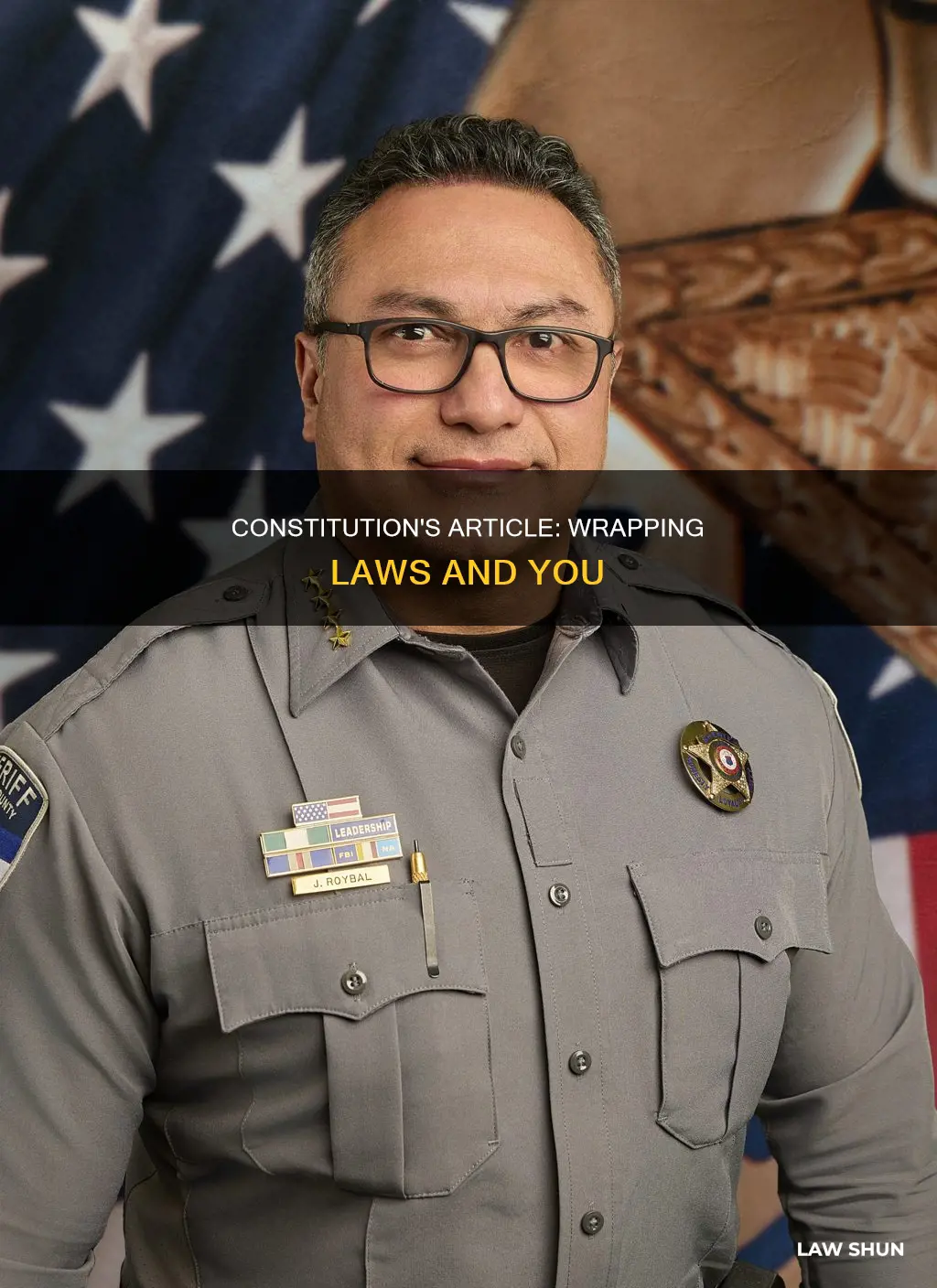 what article in the constitution deals with wrapping the laws