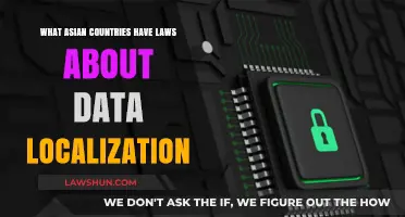 Data Localization Laws: Which Asian Countries Require Local Storage?