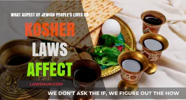 How Kosher Laws Shape Jewish Daily Life and Identity