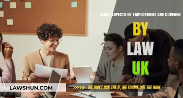 Employment Law: Your UK Work Rights Explained