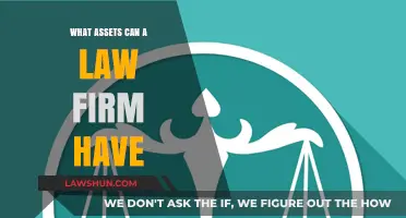 Law Firm Assets: What Are the Key Components?