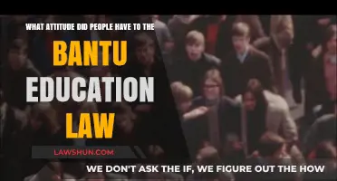 Resistance and Rage: Public Attitudes Towards the Bantu Education Law