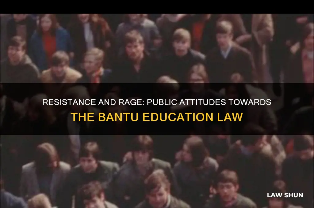 what attitude did people have to the bantu education law