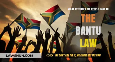 Understanding Public Attitudes Towards the Bantu Law: A Historical Perspective