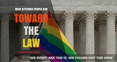 Public Attitudes Toward the Law: Perceptions, Trust, and Compliance Explored