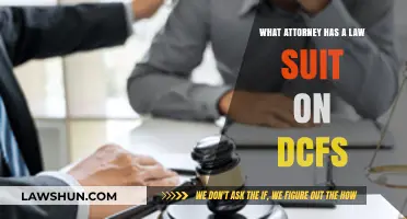 Attorney Files Lawsuit Against DCFS: Allegations and Legal Battle Explained