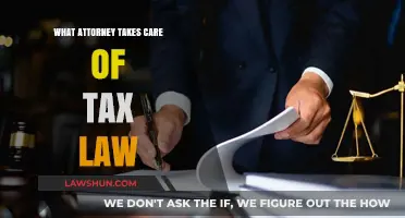 Tax Law Attorneys: Navigating Complex Tax Codes