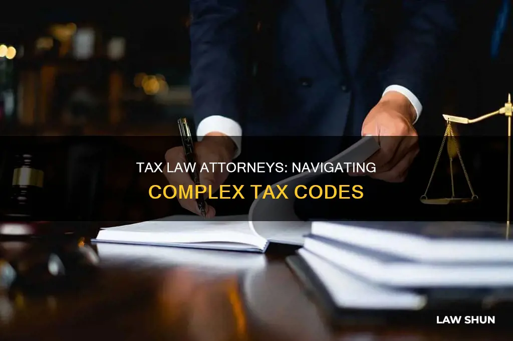 what attorney takes care of tax law