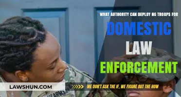 Who Can Order Military Troops for Domestic Law Enforcement?