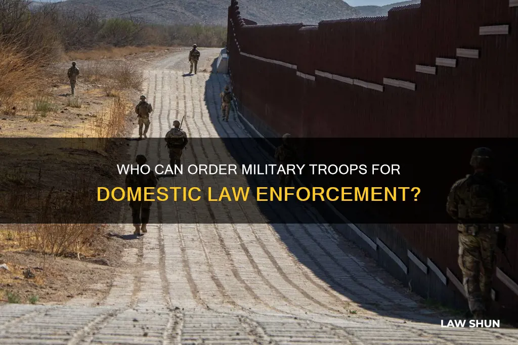what authority can deploy ng troops for domestic law enforcement