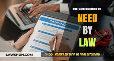Understanding Mandatory Auto Insurance Requirements: What’s Legally Required?
