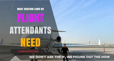 Essential Aviation Laws Every Flight Attendant Must Know and Follow