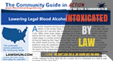 Legal BAC Limits: Understanding Intoxication Laws and Their Implications