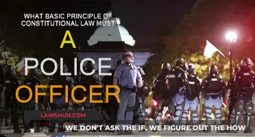 Understanding Police Powers: Constitutional Law Basics
