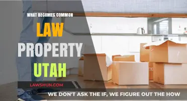 Understanding Common Law Property in Utah