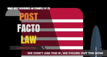 Understanding Ex Post Facto Laws: A Clear Example Explained