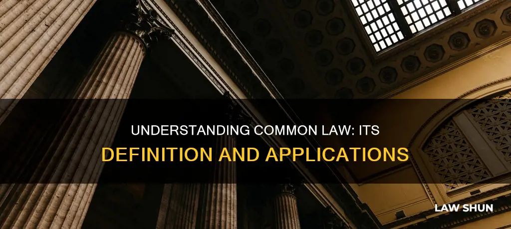 what best describes common law