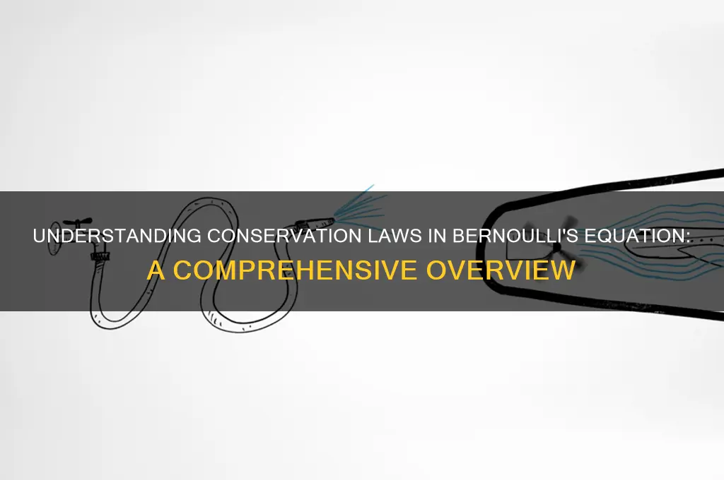 what best describes the conservation law associated with bornoullis equation