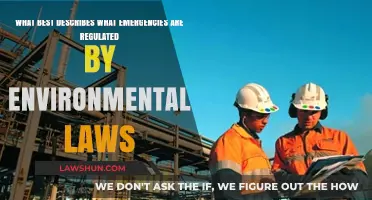 Environmental Laws and Emergency Regulations: Understanding Their Scope and Impact