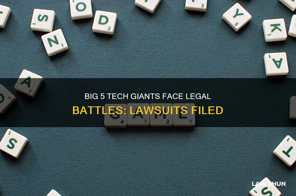 what big 5 had law suite filed