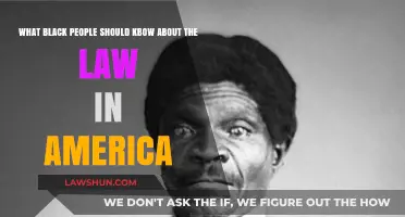 Understanding American Law: Essential Knowledge for Black Americans