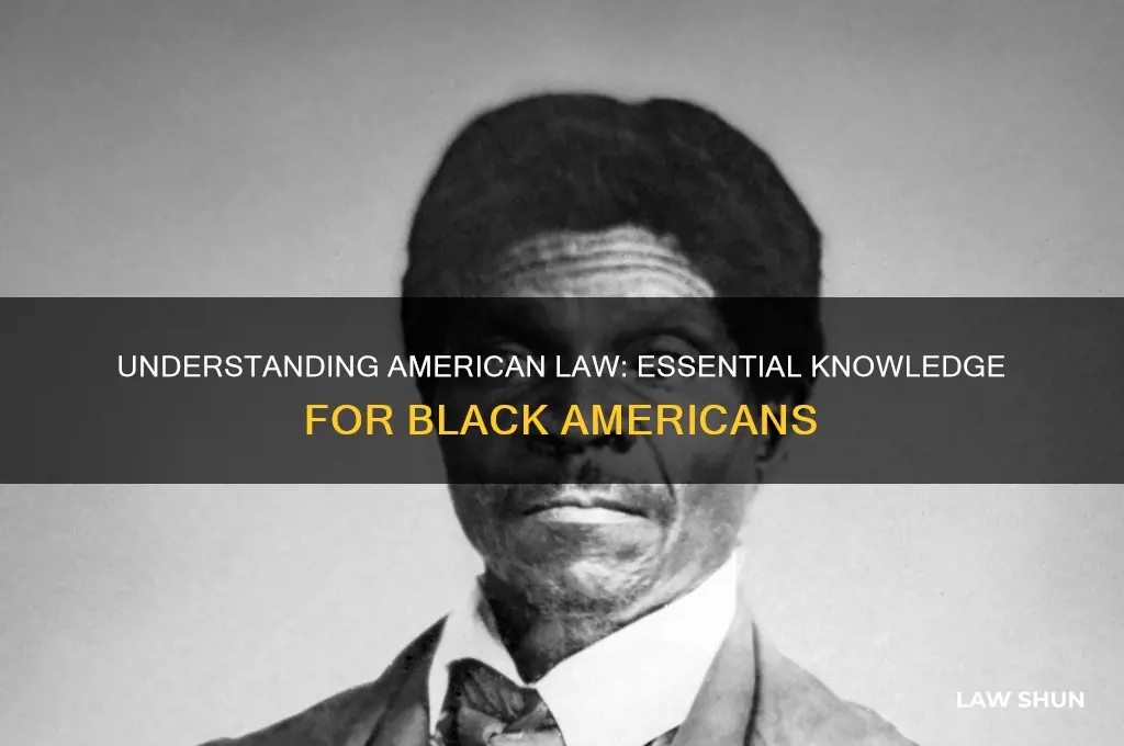 what black people should kbow about the law in america
