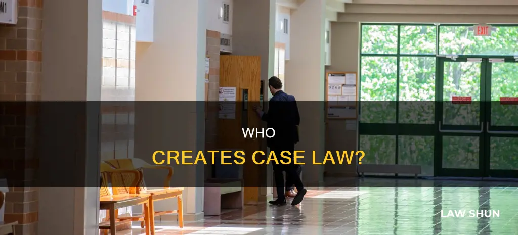 what body of governemtn generates case law