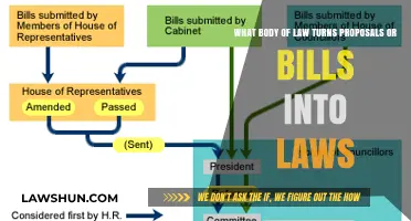 Understanding the Legislative Process: How Proposals Become Binding Laws