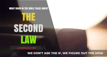 Exploring the Bible's Second Law: Which Book Unveils Its Teachings?