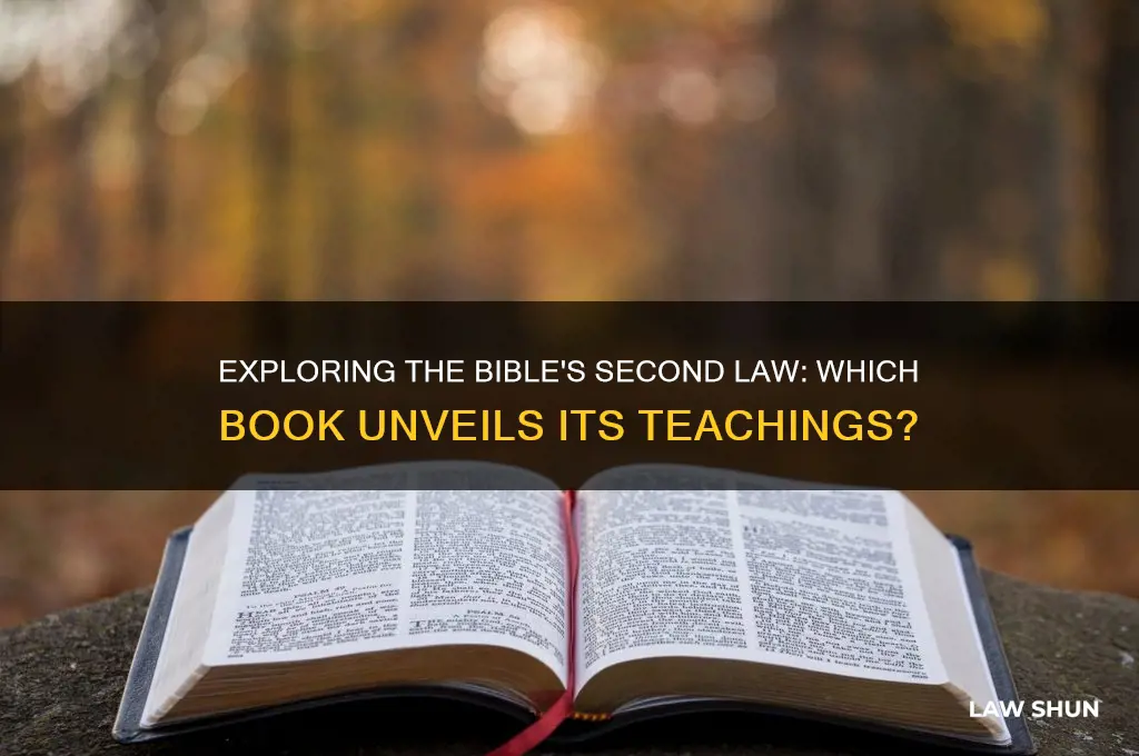 what book in the bible talks about the second law