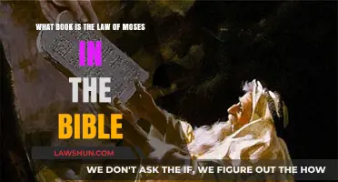 Understanding the Law of Moses: Exploring the Biblical Book of Leviticus