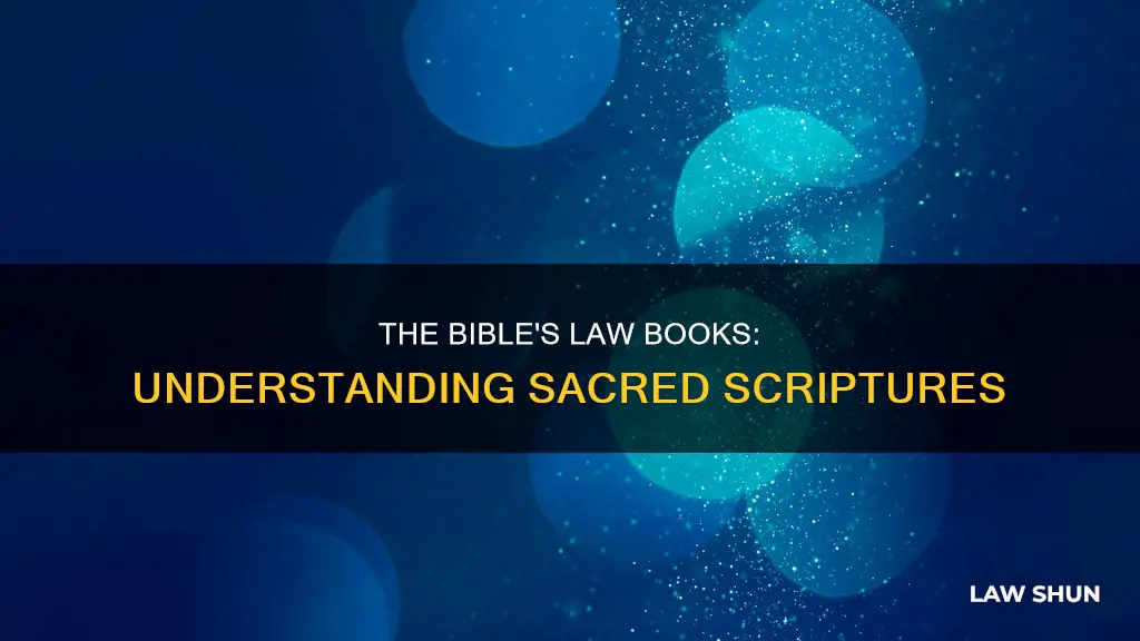 what books of the bible constitute the law