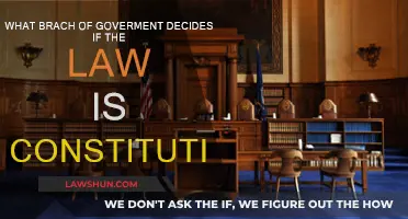 Who Decides What's Constitutional?