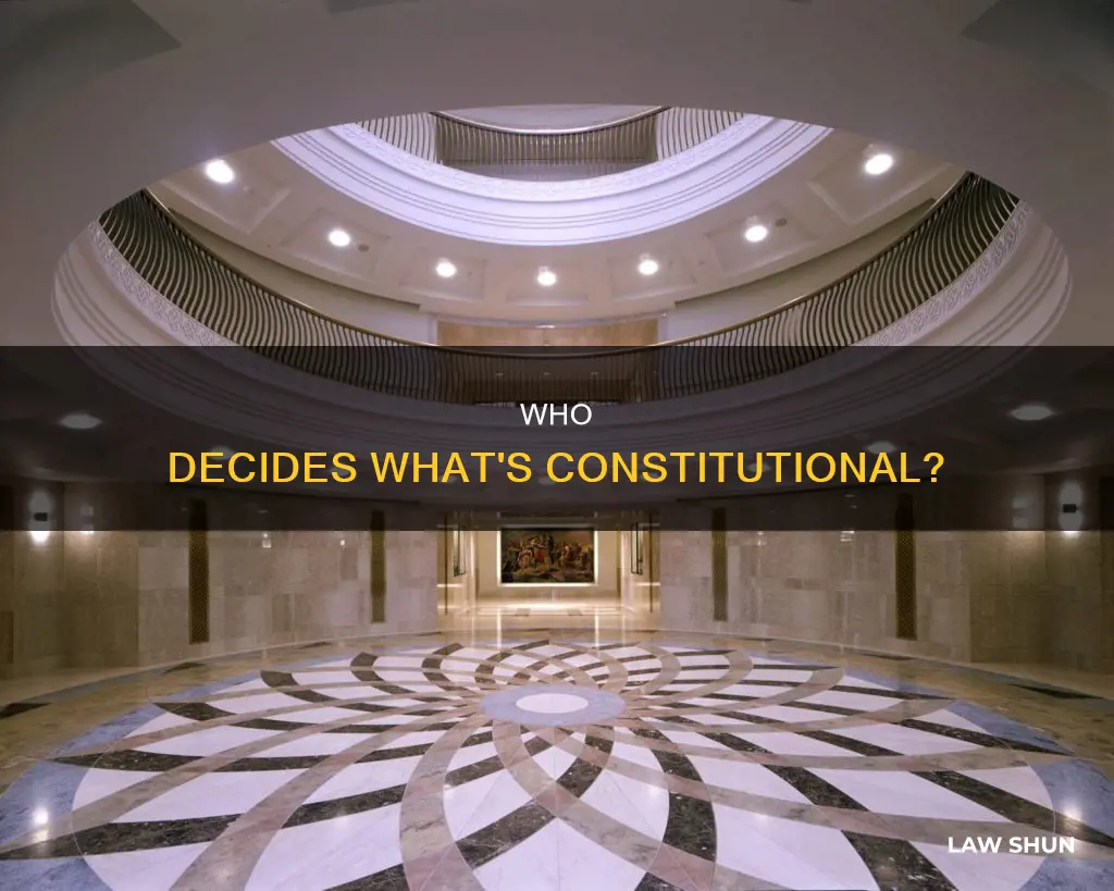 what brach of goverment decides if the law is constitution