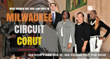 Milwaukee Circuit Court: Understanding the Branch for Civil Lawsuits